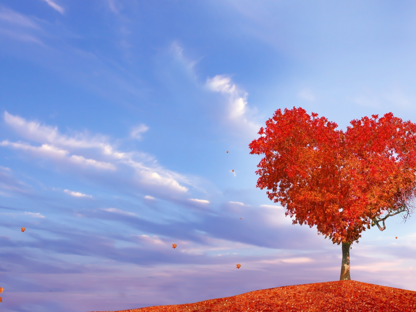 осень, дерево, сердце, листопад
