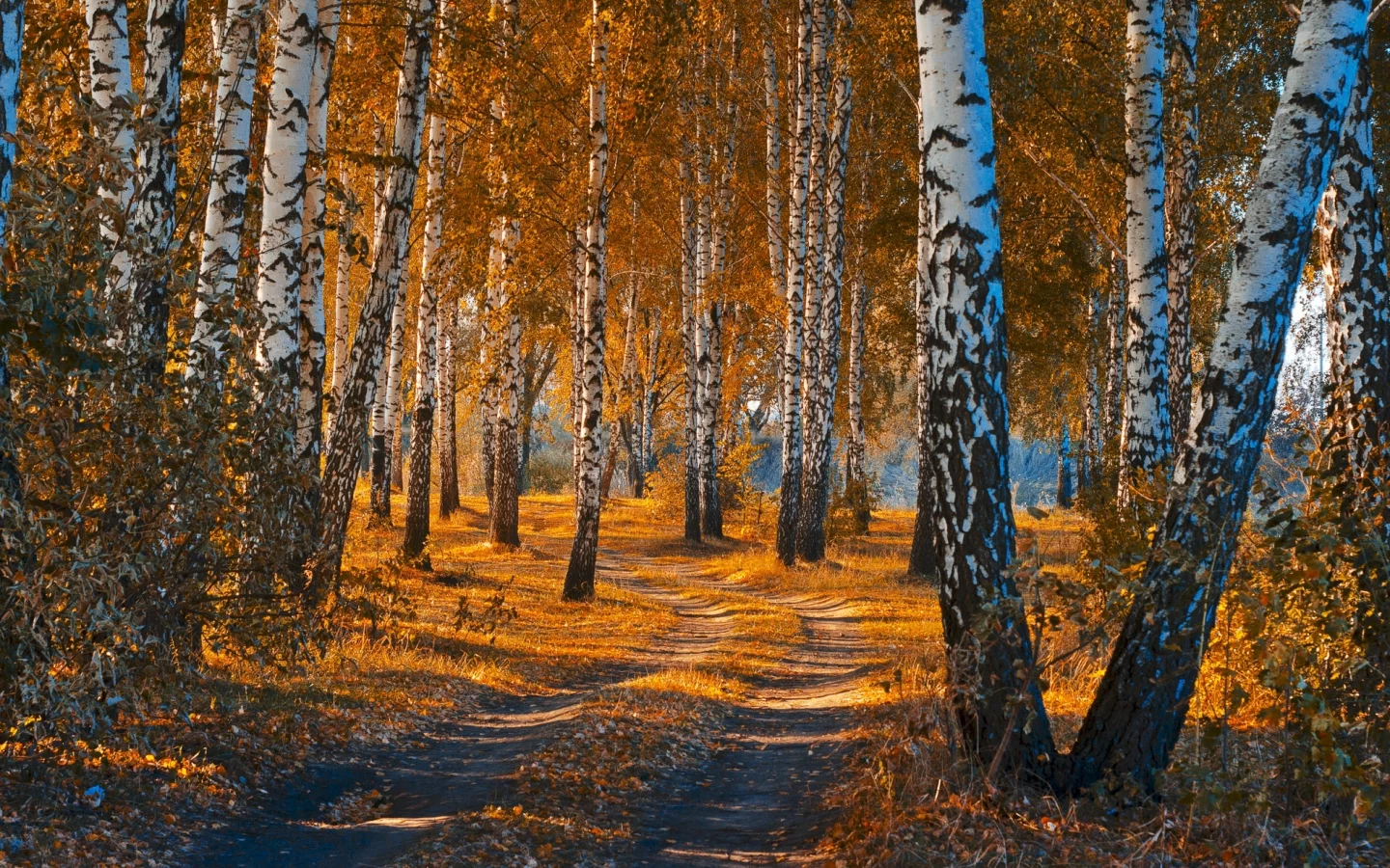 природа, красота, пейзаж