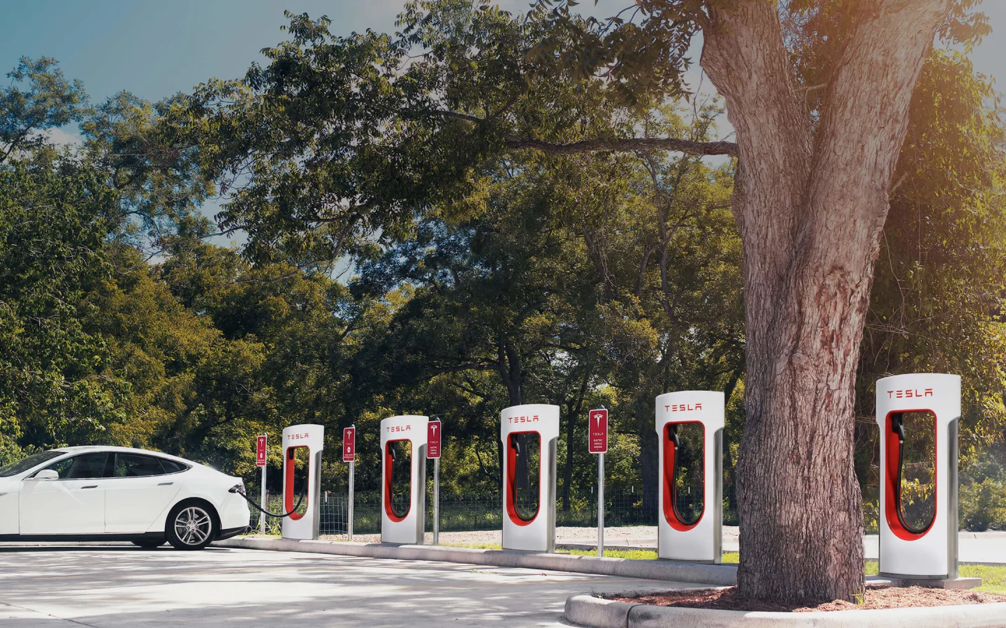 электромобиль, зарядка, белый, тесла, tesla, model s, пятидверный