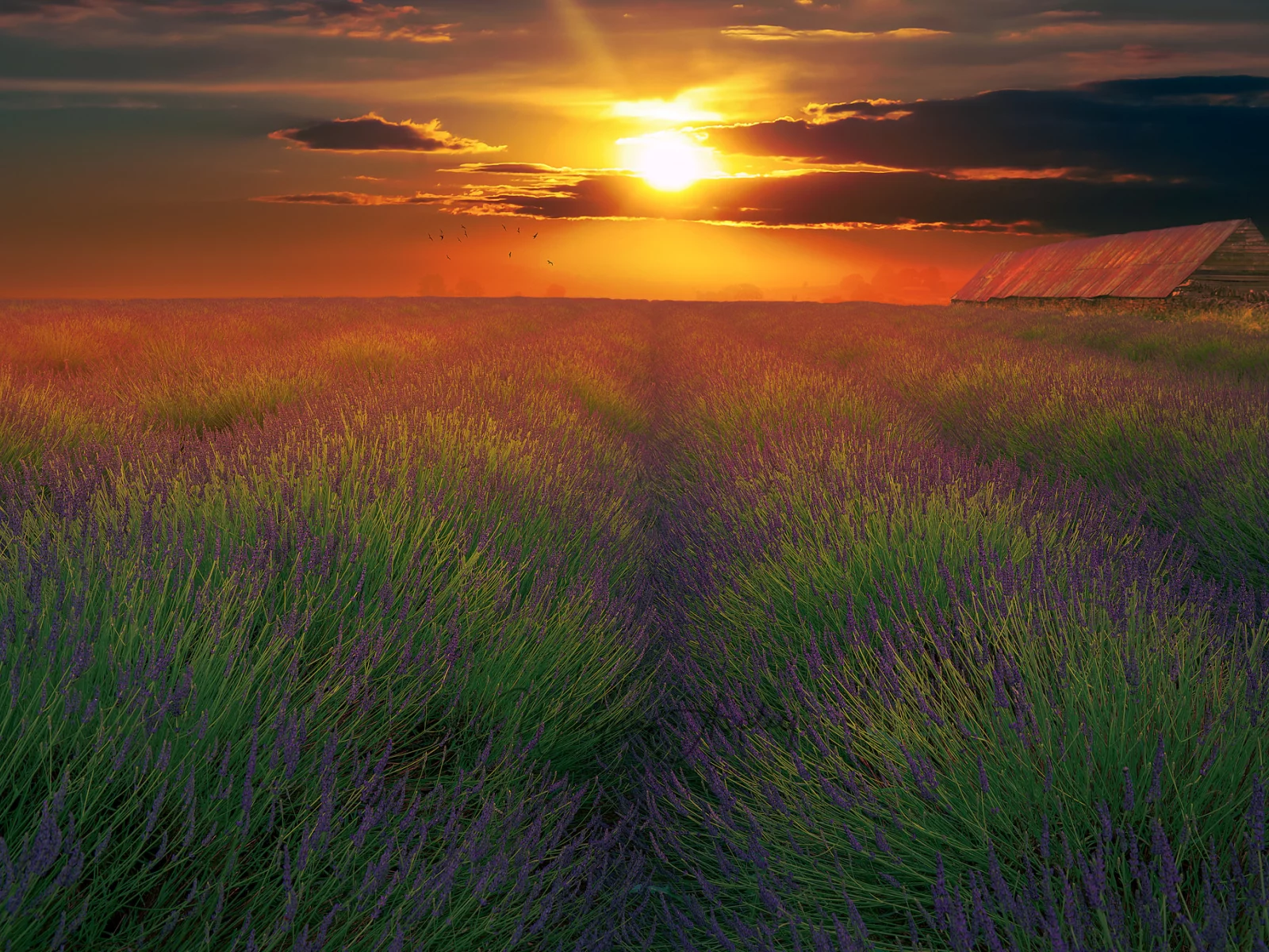 природа, красота, пейзаж