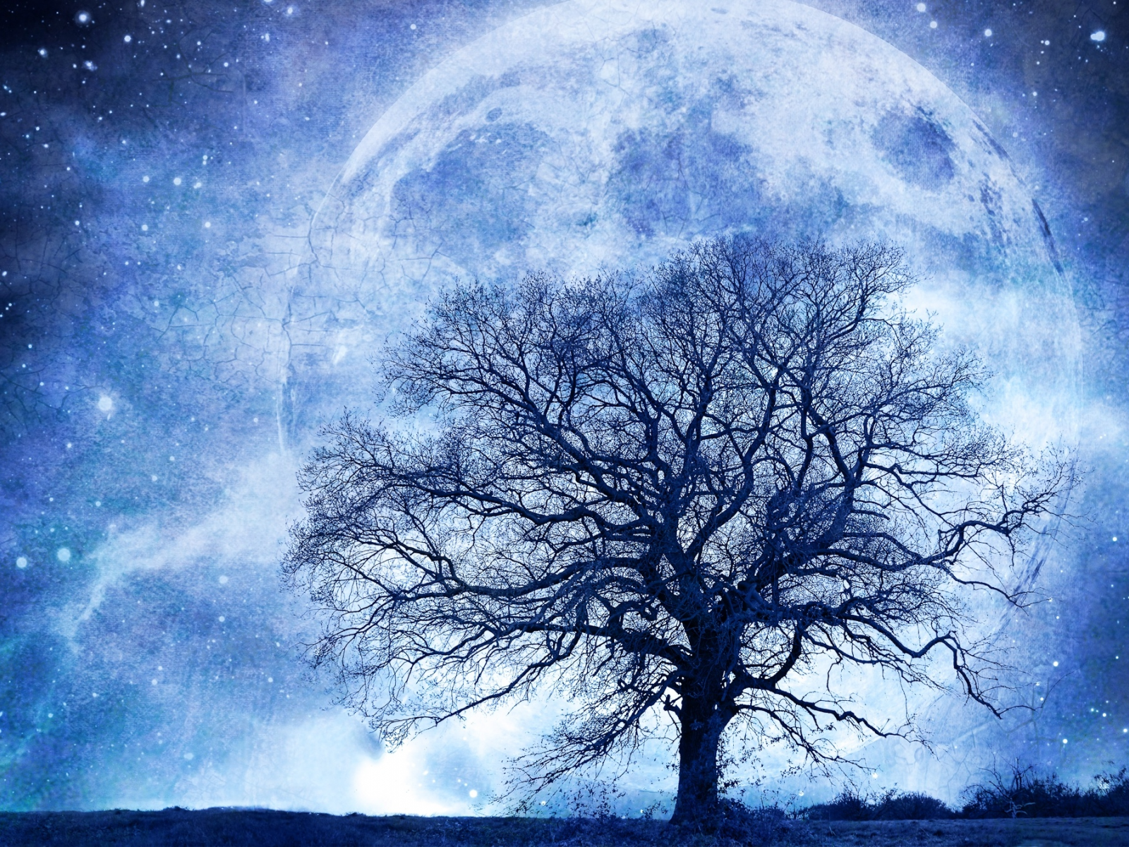 дерево, луна, ночь, космос, пейзаж, небо, звёзды, графика
