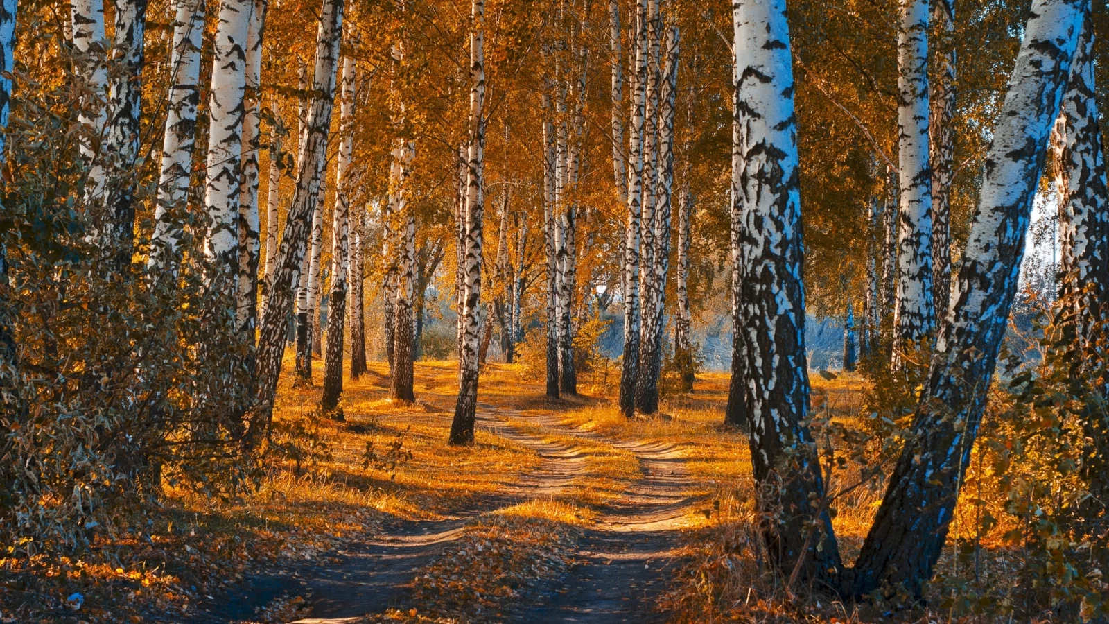 природа, красота, пейзаж