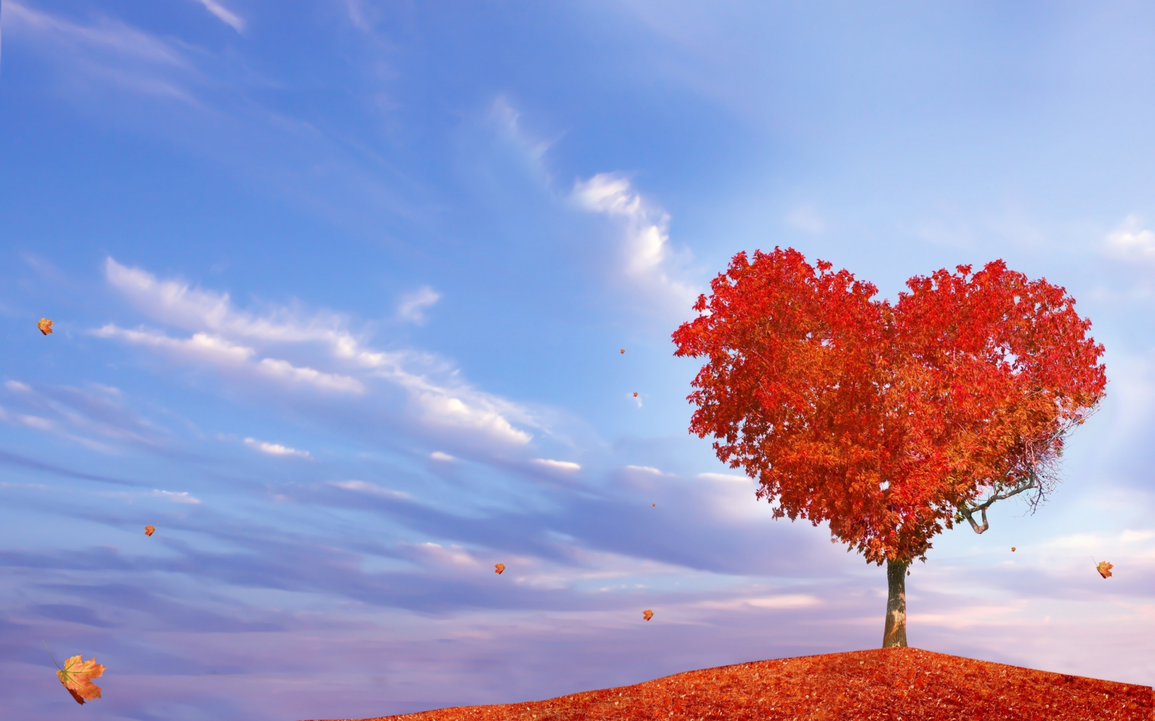 осень, дерево, сердце, листопад