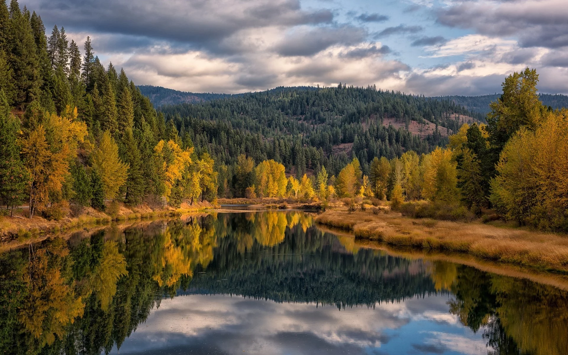 природа, красота