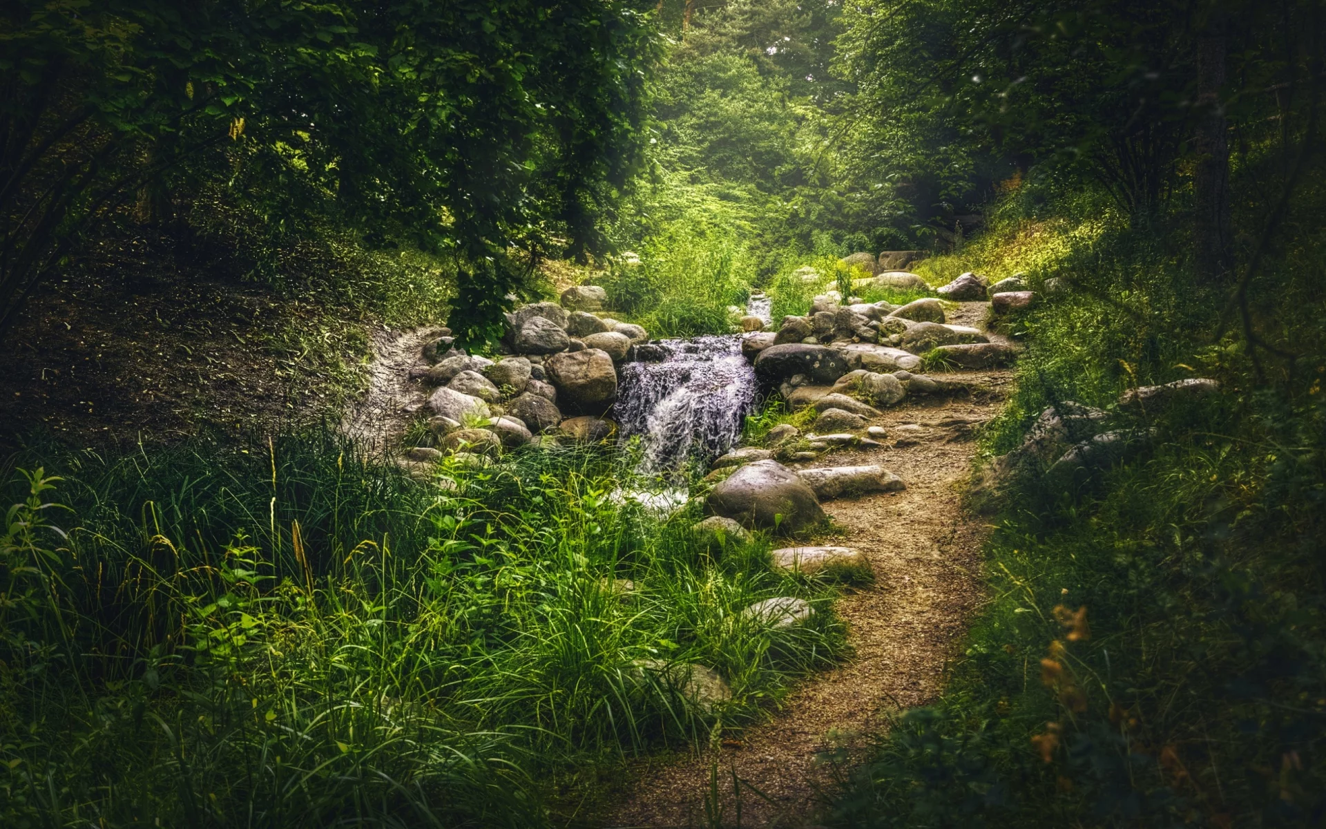 зелень, трава, деревья, парк, ручей, камни
