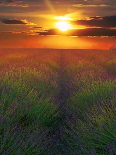 природа, красота, пейзаж