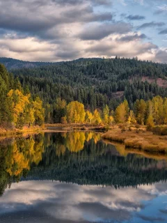 природа, красота