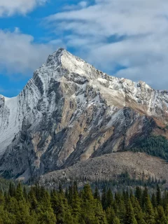 природа, красота