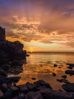 природа, красота