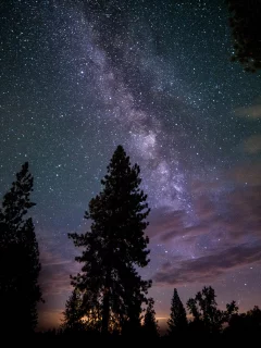 красота, ночь