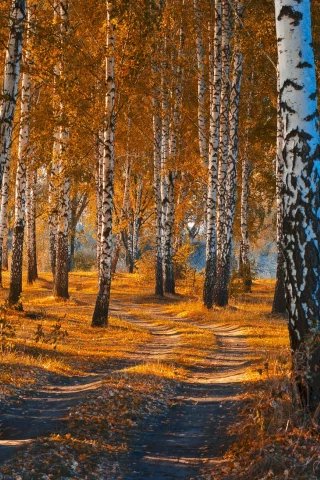 природа, красота, пейзаж