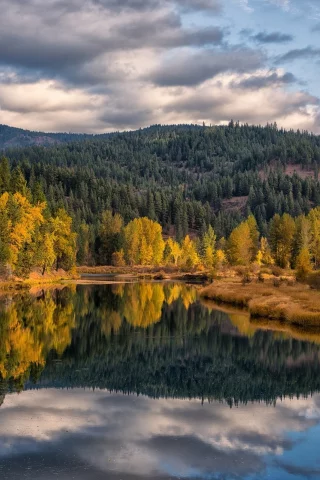 природа, красота
