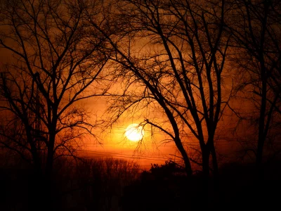 природа, красота