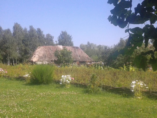деревня, сарай, трава, небо