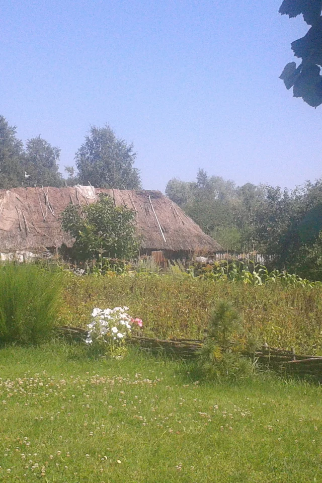 деревня, сарай, трава, небо