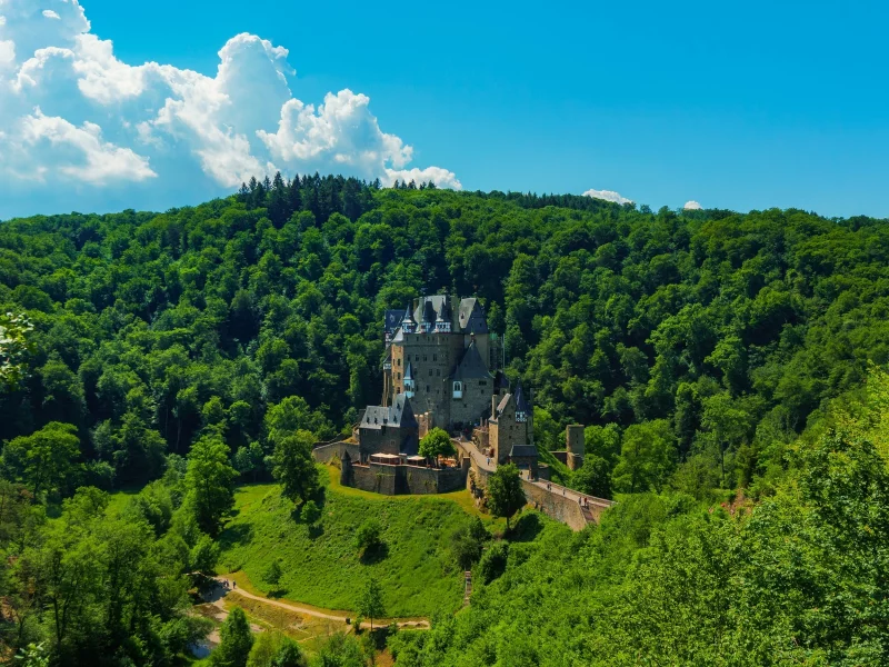 лес, ltz astle, небо, солнце, лето, облака, зелень, замок, деревья, ермания, вид сверху, гора