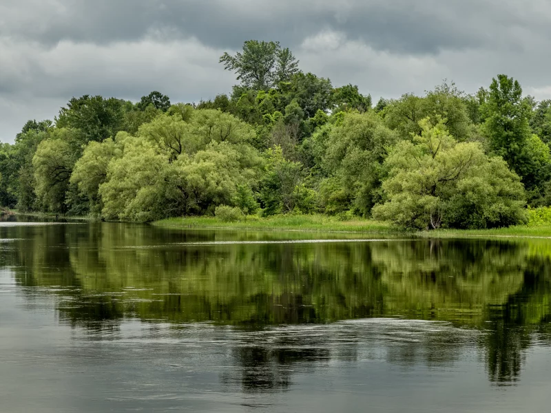 природа, красота