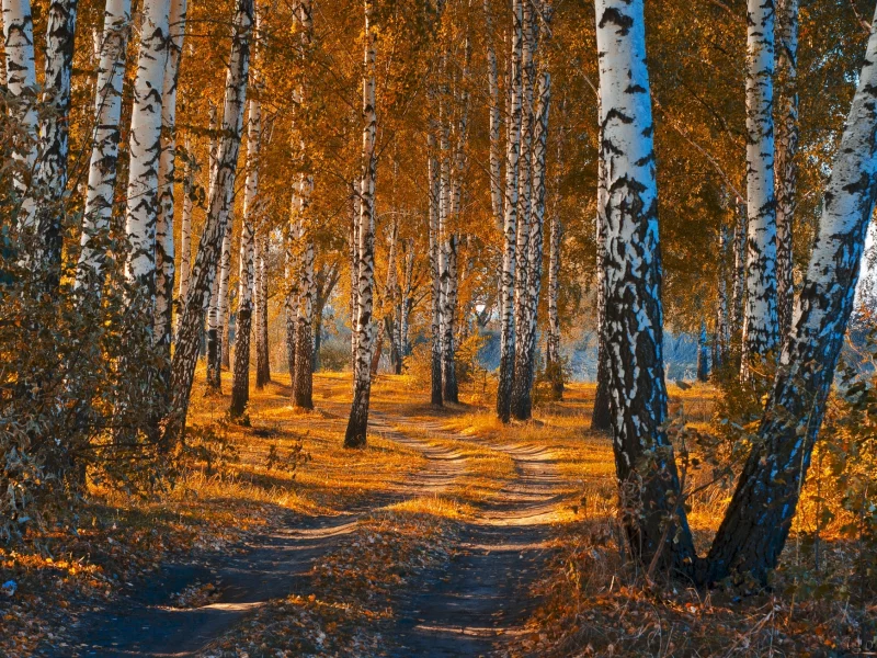 природа, красота, пейзаж