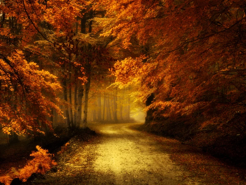 природа, красота, пейзаж