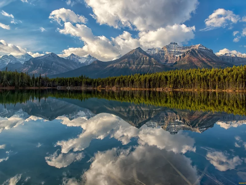 природа, красота