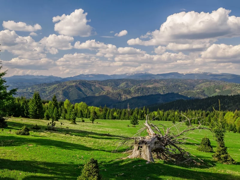природа, красота