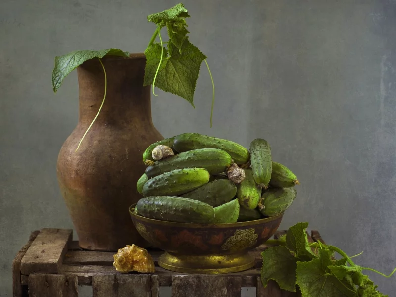 текстура, ракушки, кувшин, натюрморт, огурцы, овощ