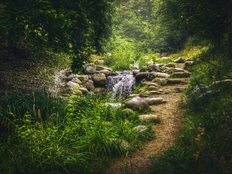 зелень, трава, деревья, парк, ручей, камни