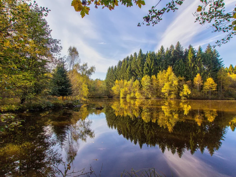 природа, красота, пейзаж, озеро, отражение