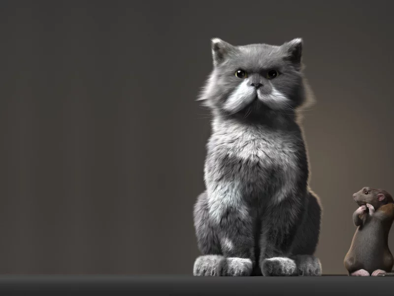 кот, ситуация, арт, крыса