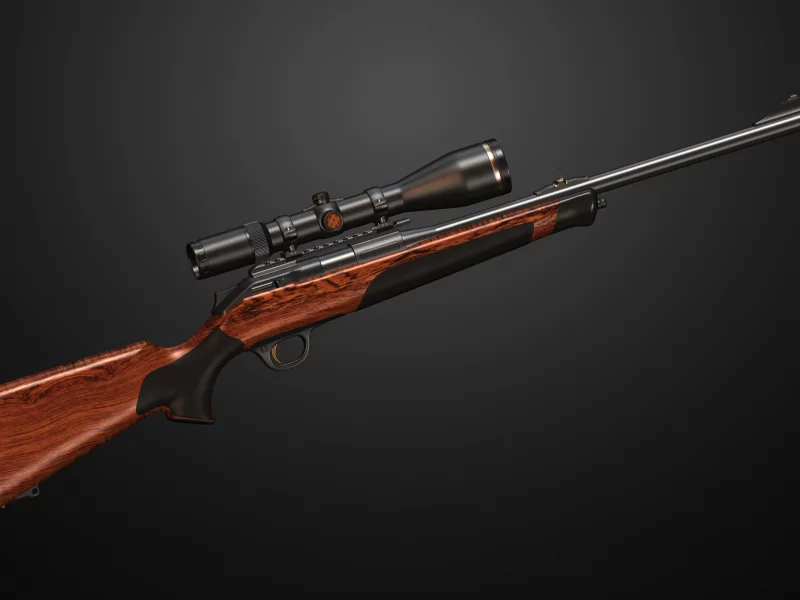 винтовка, снайперская, blaser, r8, modified, sniper, rifle, gun, hand, ballistic, design, weapon, guns, weapons, military, sun, summer, day, see, wide