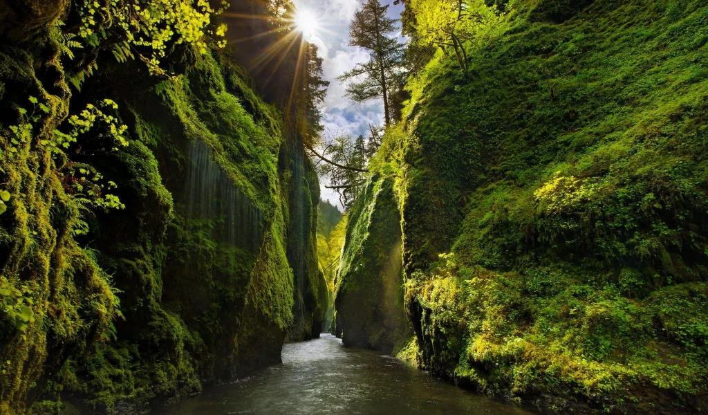лес, горы, река, каньон, canyon, oregon, sun rays, moss, river, shrubs, grass, lake, mounts, field, forest, path, fallen, park, green, nature, landscapes, trees, forest, trail, woods, leaves, fence, sunrise, see, dark, summer, wide