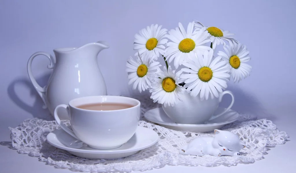 bouquets, кувшин, кофе, camomiles, ромашки