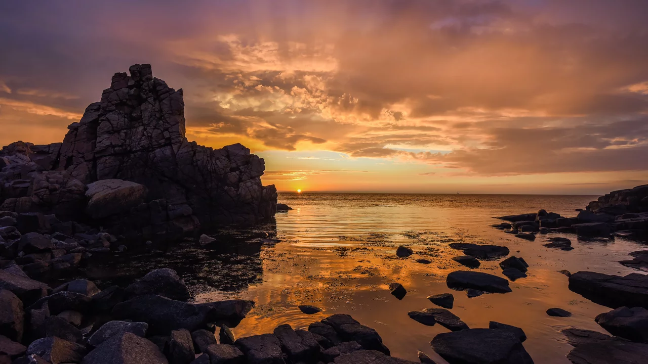 природа, красота