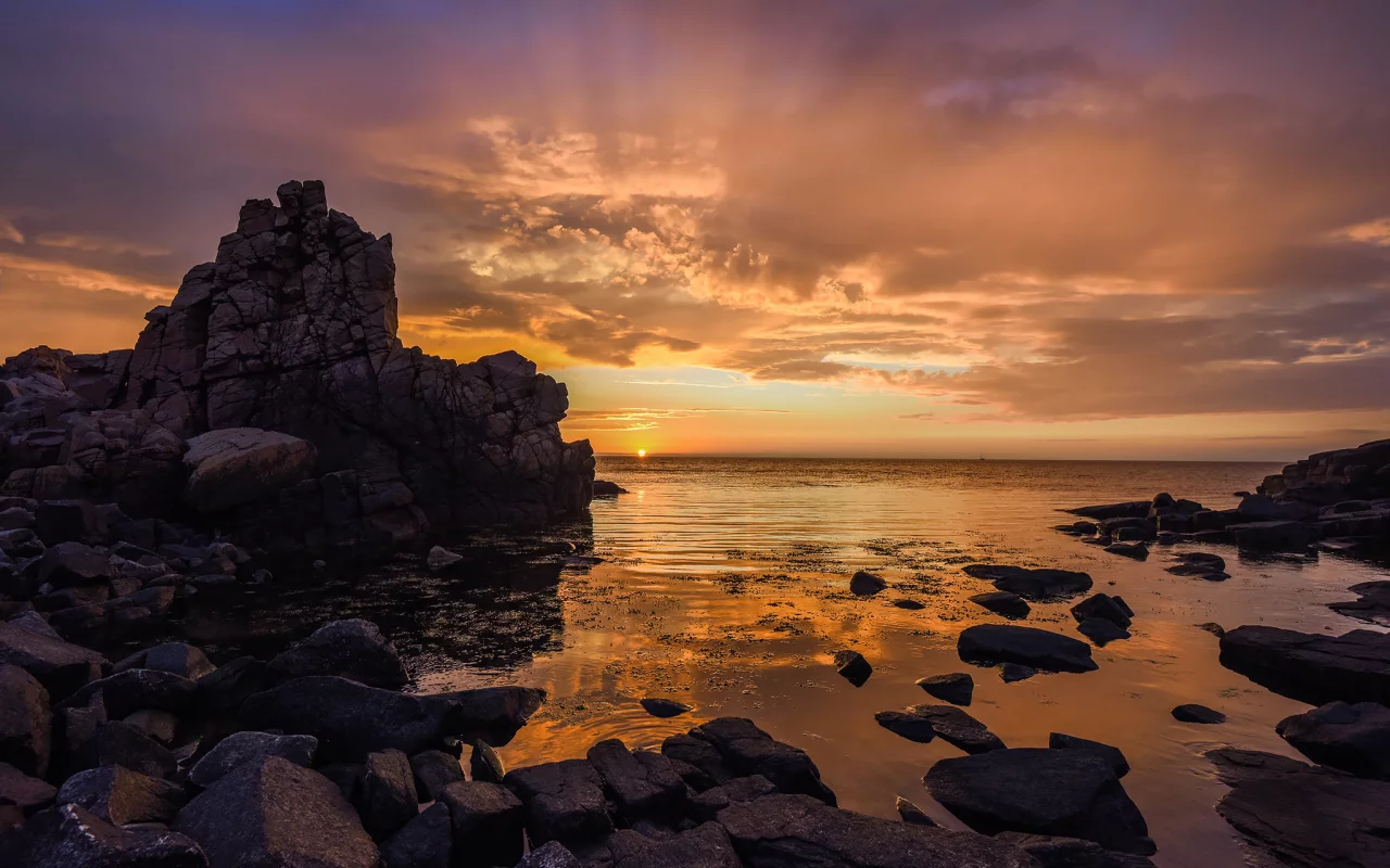 природа, красота