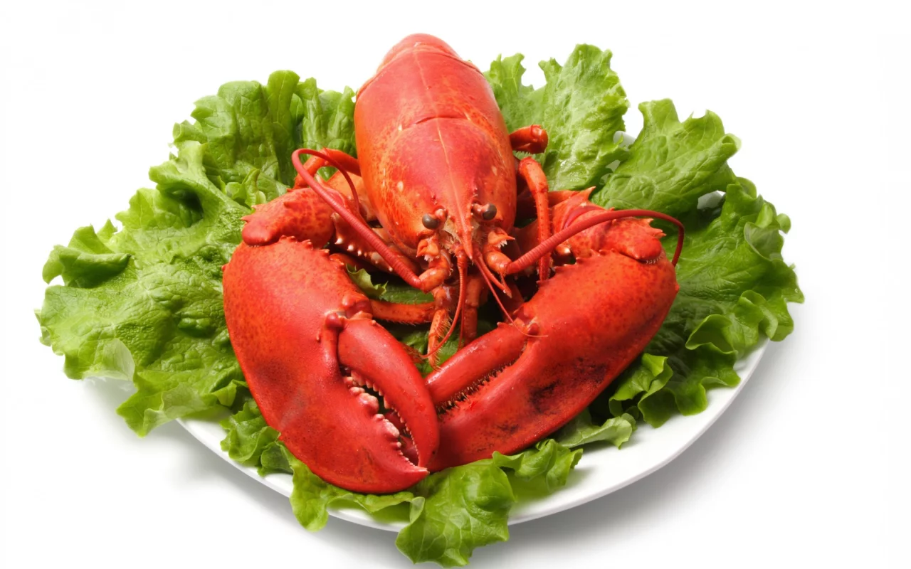 seafood, салат, морепродукт, листья, омар, клешни