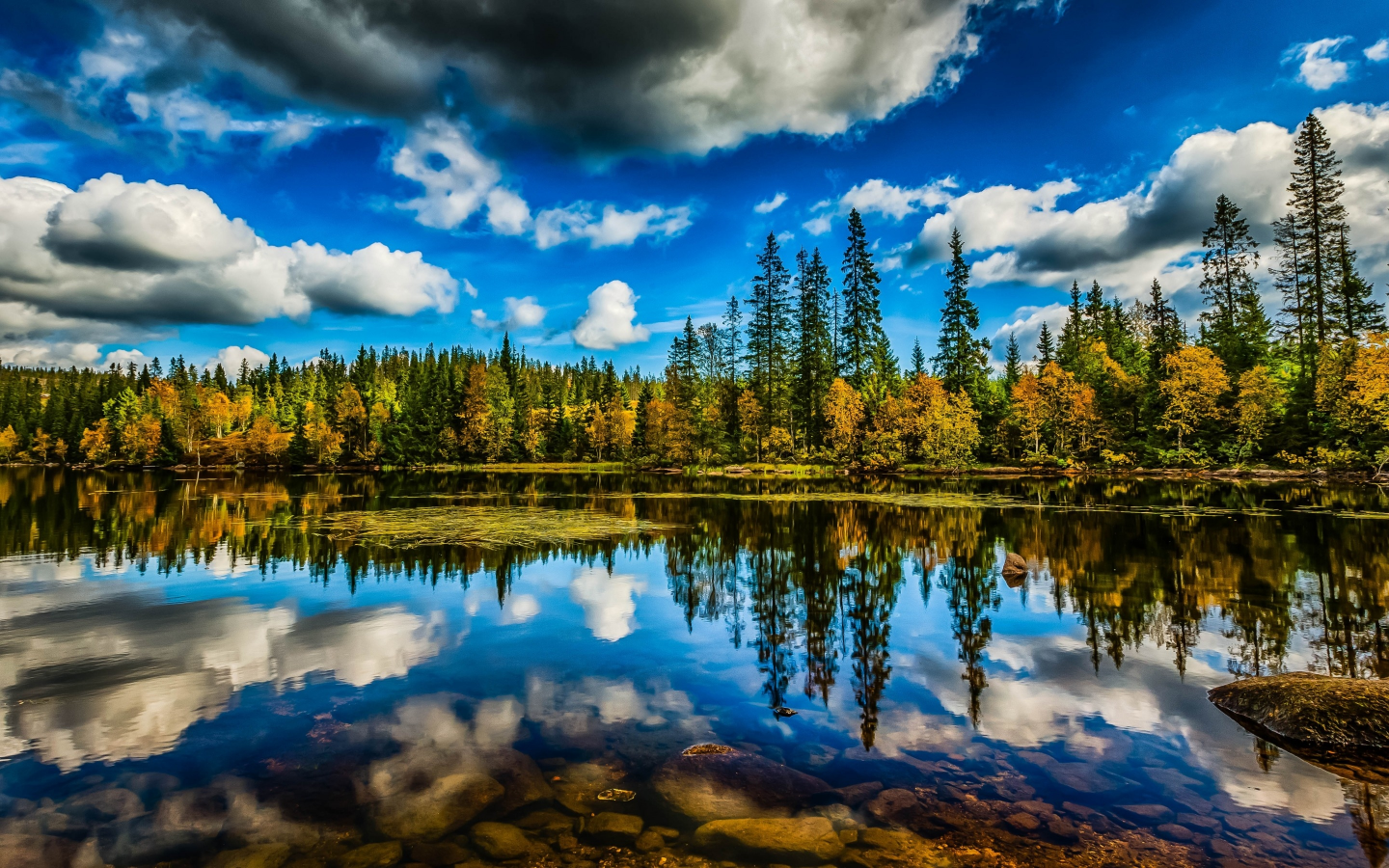 лес, небо, облака, деревья, озеро, отражение