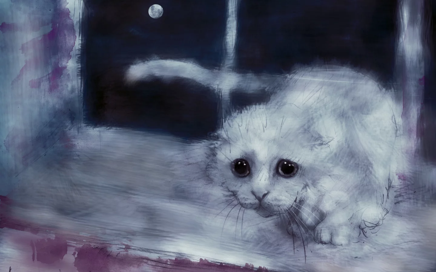 кошка, киса, кот