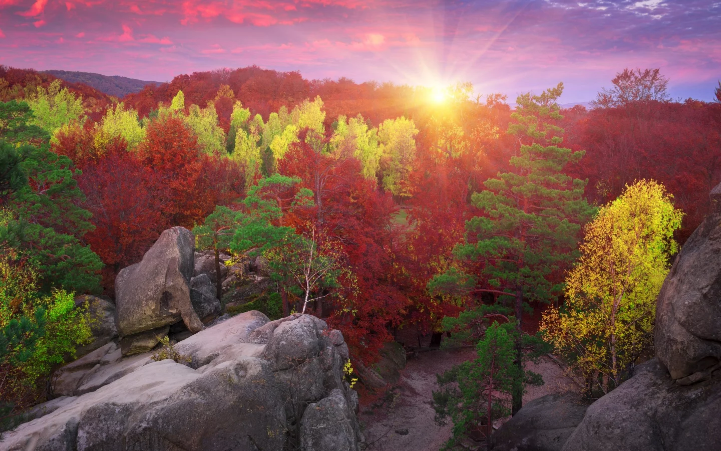 лучи, деревья, верхушки, солнце, камни