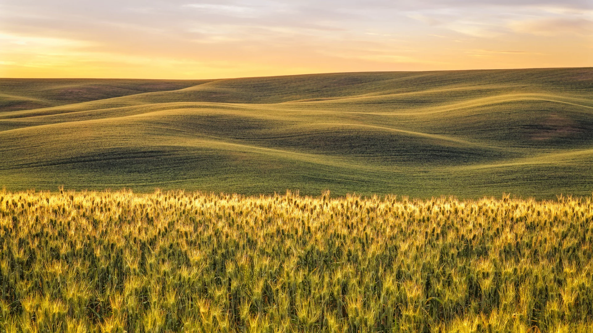 природа, красота