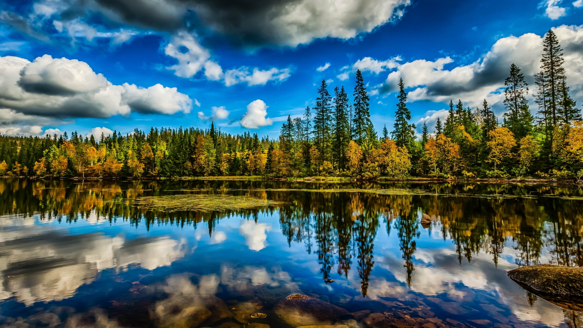 лес, небо, облака, деревья, озеро, отражение