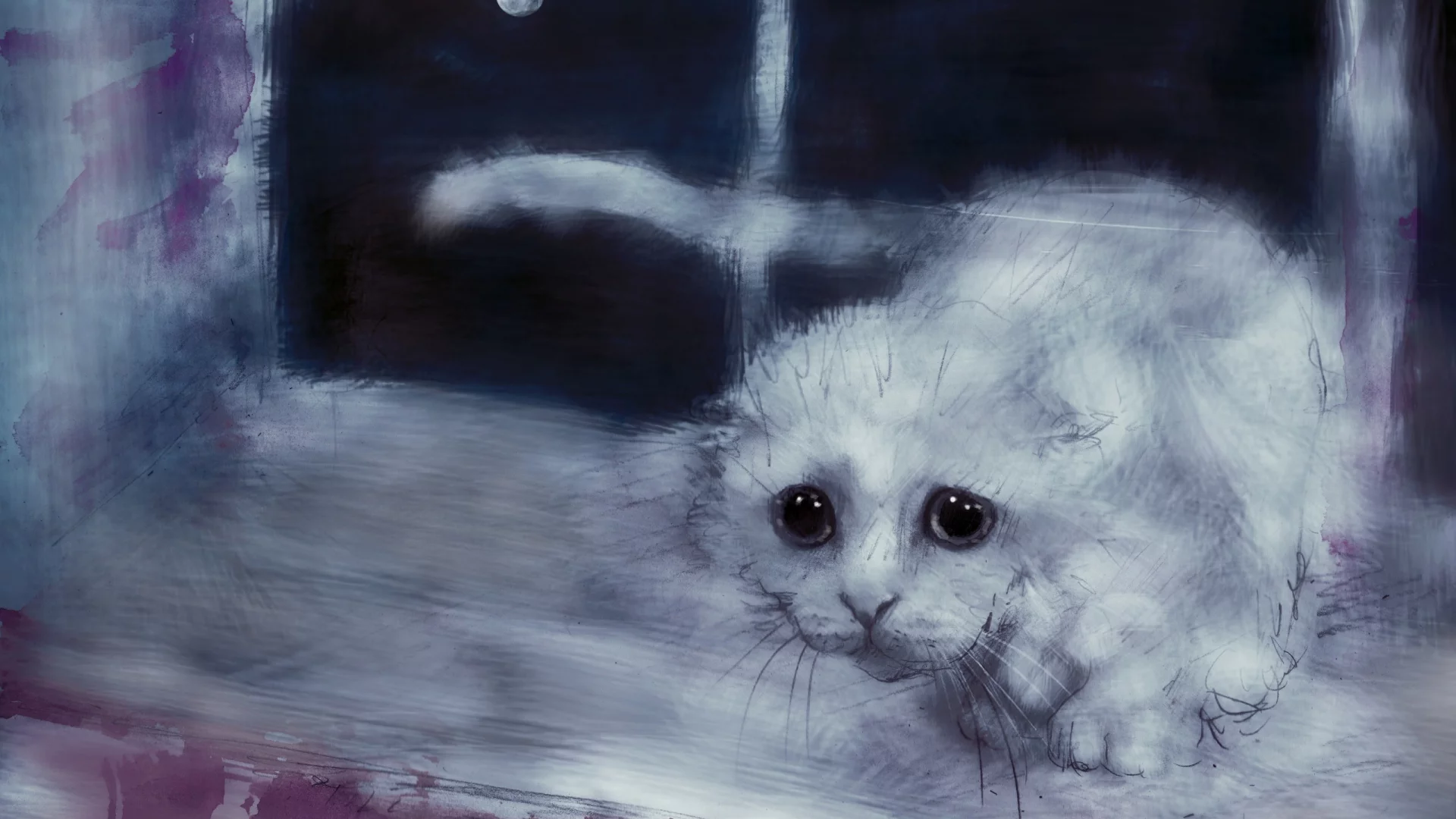 кошка, киса, кот