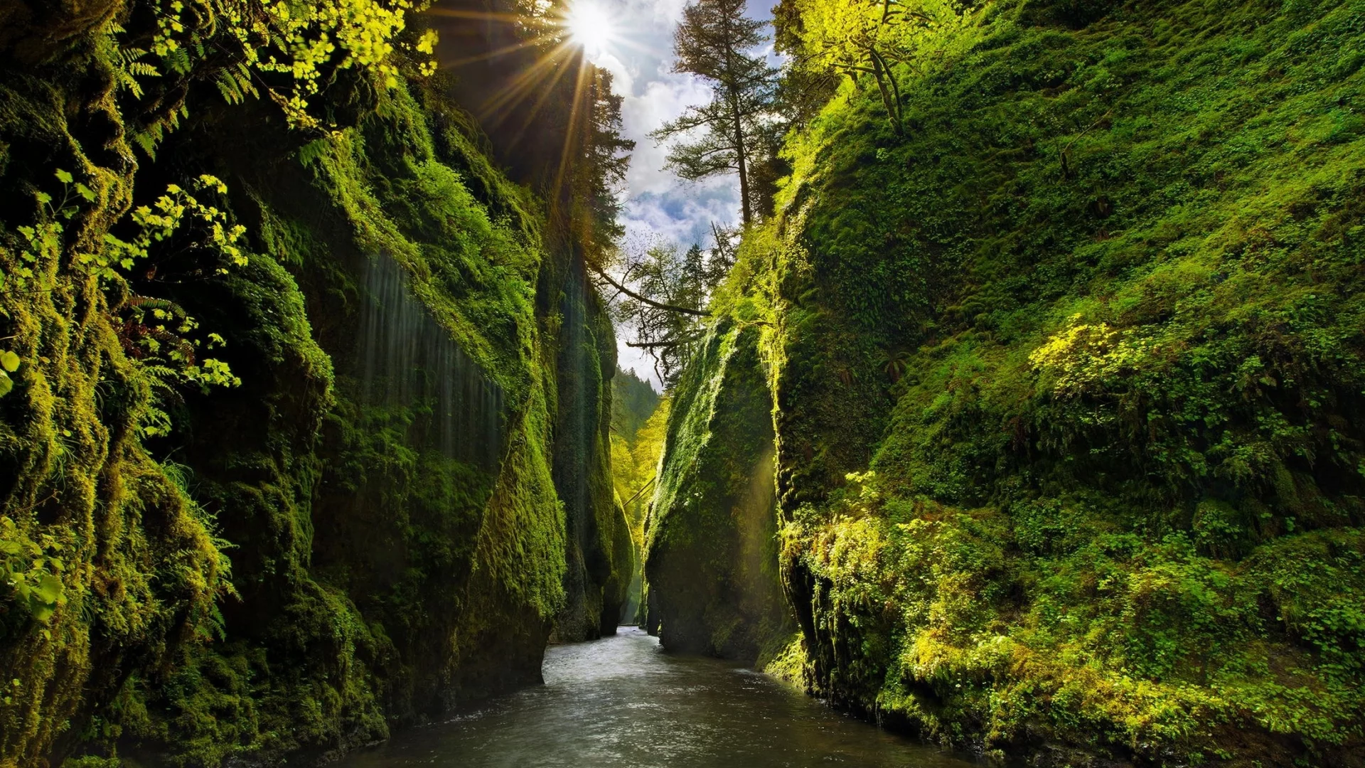 лес, горы, река, каньон, canyon, oregon, sun rays, moss, river, shrubs, grass, lake, mounts, field, forest, path, fallen, park, green, nature, landscapes, trees, forest, trail, woods, leaves, fence, sunrise, see, dark, summer, wide