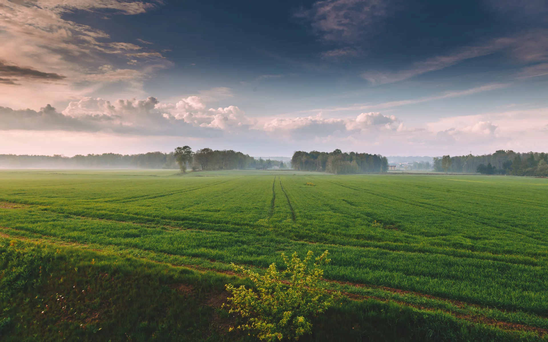 природа, красота