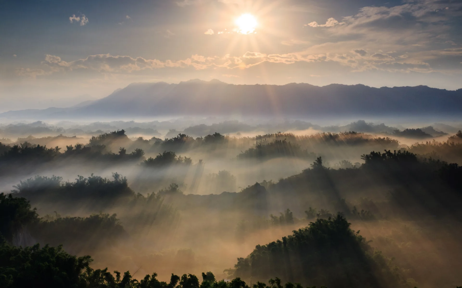 природа, красота