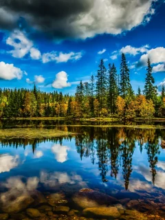 лес, небо, облака, деревья, озеро, отражение