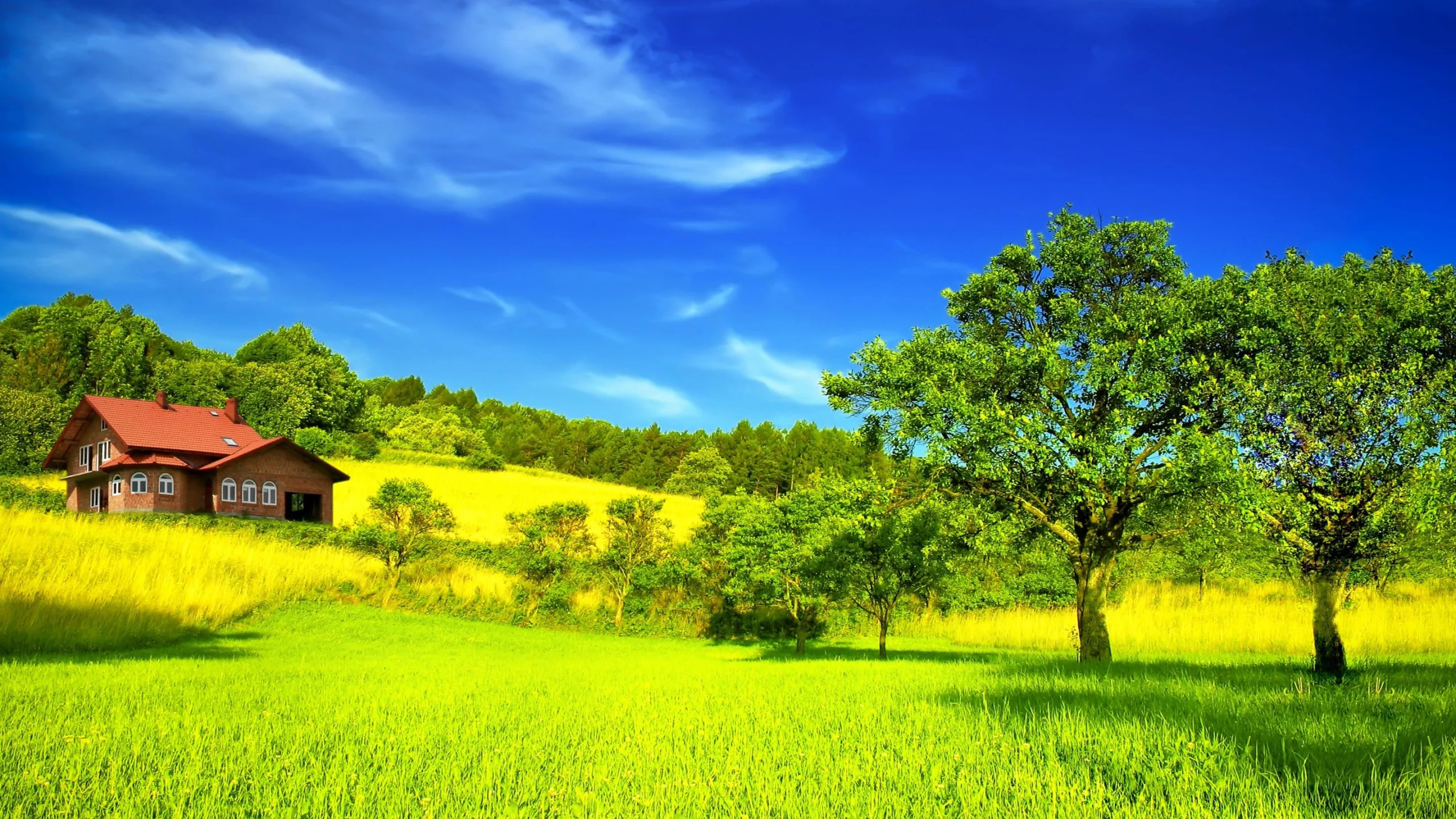 лес, гора, дом, grass, mount, house, field, trees, meadow, forest, path, moss, fallen, park, green, nature, landscapes, trees, forest, trail, woods, leaves, fence, sunrise, see, summer, wide