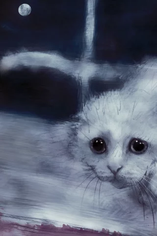 кошка, киса, кот