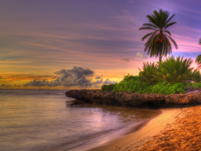 пальмы, берег, тропики, песок, пляж, рыхлый, закат, небо, облака, горизонт