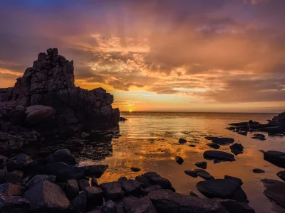 природа, красота