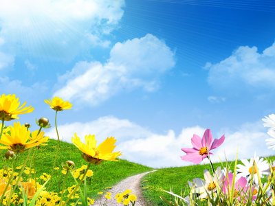 весна, небо, цветы сохранить, поле, ромашки, spring, солнце